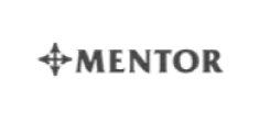 logotipogris-mentor-esteticart